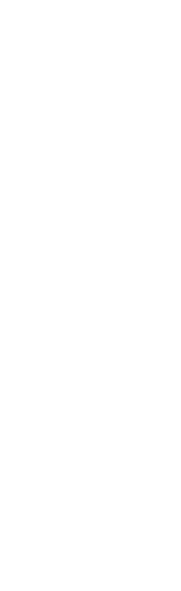 Desentupimento Rápido